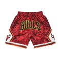 thumbnail image 1 of Pantalones cortos de baloncesto cortos con cordón bordado retro Bulls Pantalones cortos de entrenamiento, 1 of 3