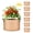 Yellow-7 gal, variant on iPower 7 Gallon 6-Pack Plant Grow Bag Fabric Pots Containers -Tan