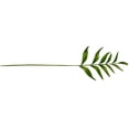 thumbnail image 2 of Bewildely Hoja de planta Artificial, rama única, decoración de hojas de simulación, adorno de planta falsa para el hogar y la Oficina Plantas Artificiales, 2 of 6