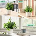 thumbnail image 6 of Behome Fake Plants, 4 Pack Small Fake Plants in White Plastic Pot, Mini Artificial Greenery Potted Plants for Home Decor, Green, 6 of 6