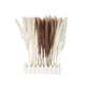 thumbnail image 5 of Ramo de 60 Flores Secas, Hierba de La Pampa Natural, Decoración Bohemia para El Hogar, Ideal para Sala de Estar o Baño, Elegante Jarrón Decorativo, Perfecto para Ocasiones Especiales, 43 Cm, 5 of 7