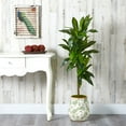 thumbnail image 3 of Nearly Natural Green 4' Dracaena Artificial Plant in Planter (Real Touch), 3 of 3