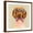 Brown Frame, variant on Art.com Dachshund with Fashion Glasses Art Print by Jin Jing, 16" x 16"