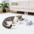 thumbnail image 5 of SHENGXINY Stainless Steel Cat Food Bowl and Water Bowl Set - 2 in 1 Automatic Gravity Water Dispenser, Leakproof Clean Feeder for Small Medium Dogs & Cats White 13.78x6.1x9.84in, 5 of 6