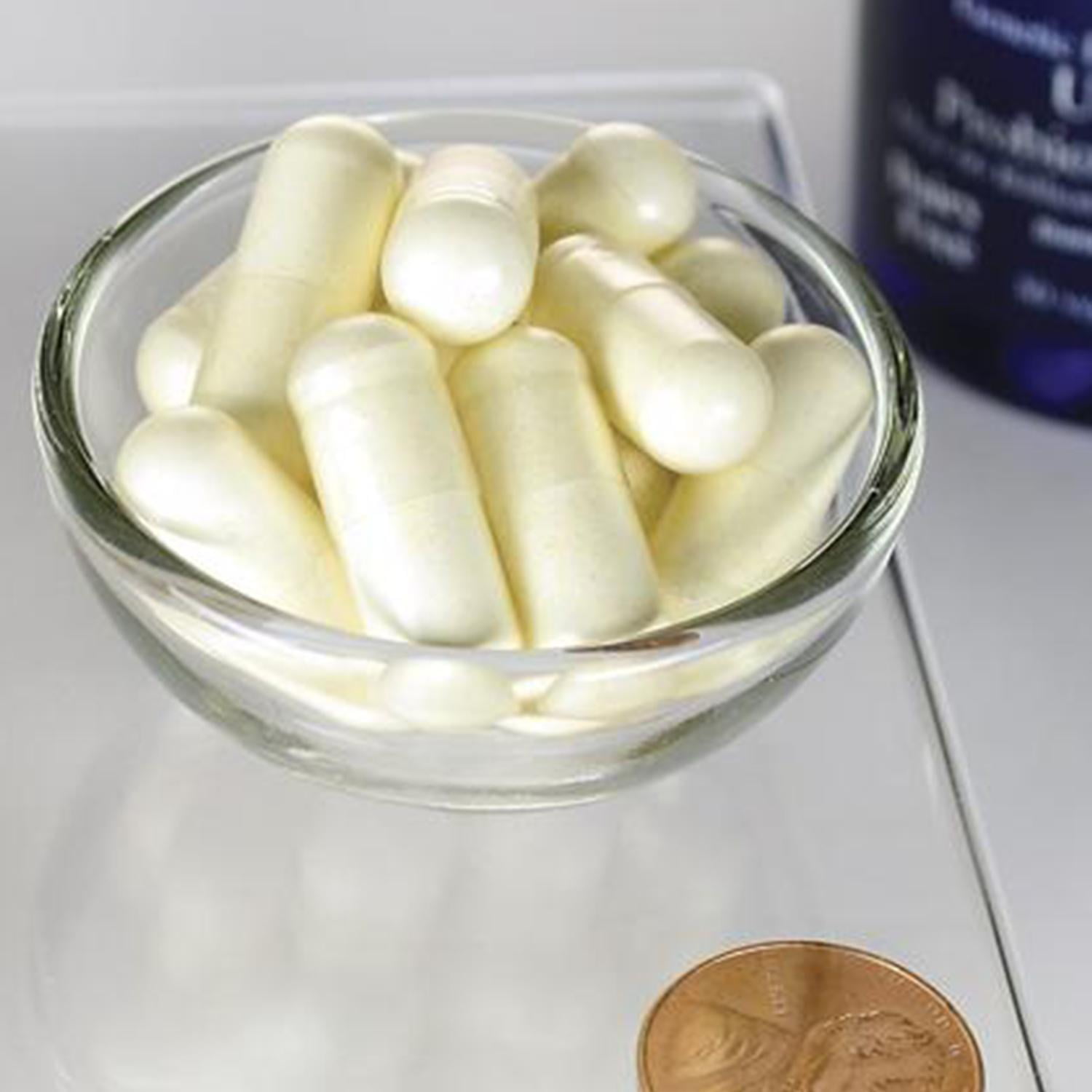 Lee Swanson Signature Line Ultimate Probiotic Formula 3 Pack