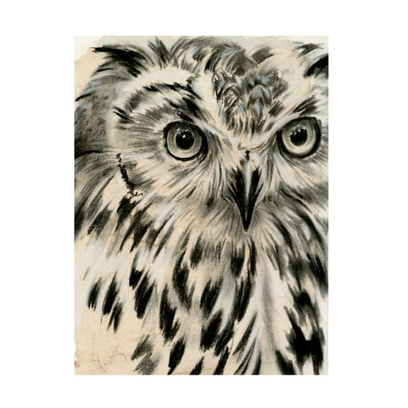 Trademark Fine Art Jennifer Paxton Parker Charcoal Owl I Canvas Wall Art - 35x47