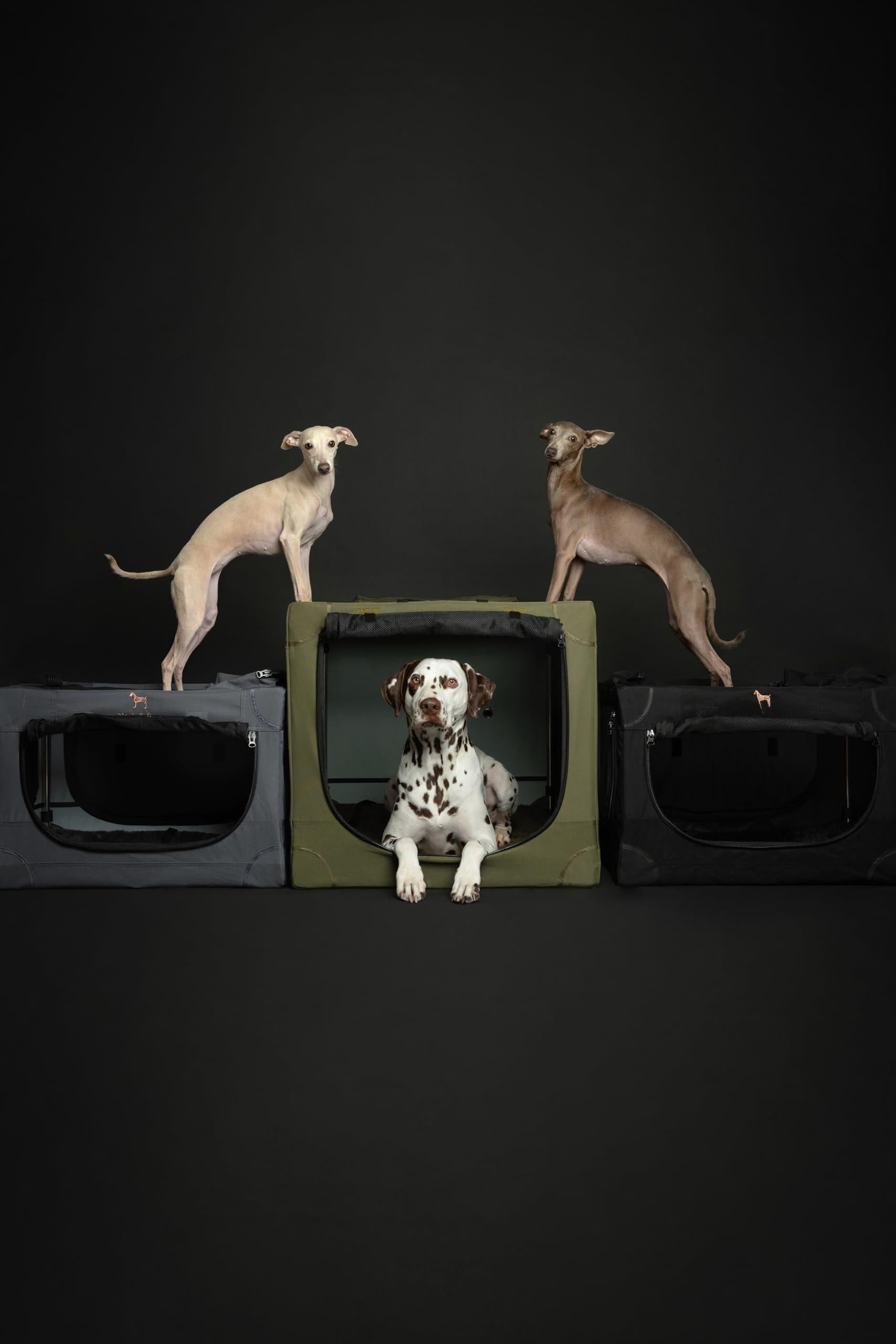 Collapsible Dog Crate 26 Inch  Small For Medium Breeds Travel Kennel Car Including Pet Mat Cage 2 Storage Pockets Handbag 10mm Locking Zipper 26 * 17 17