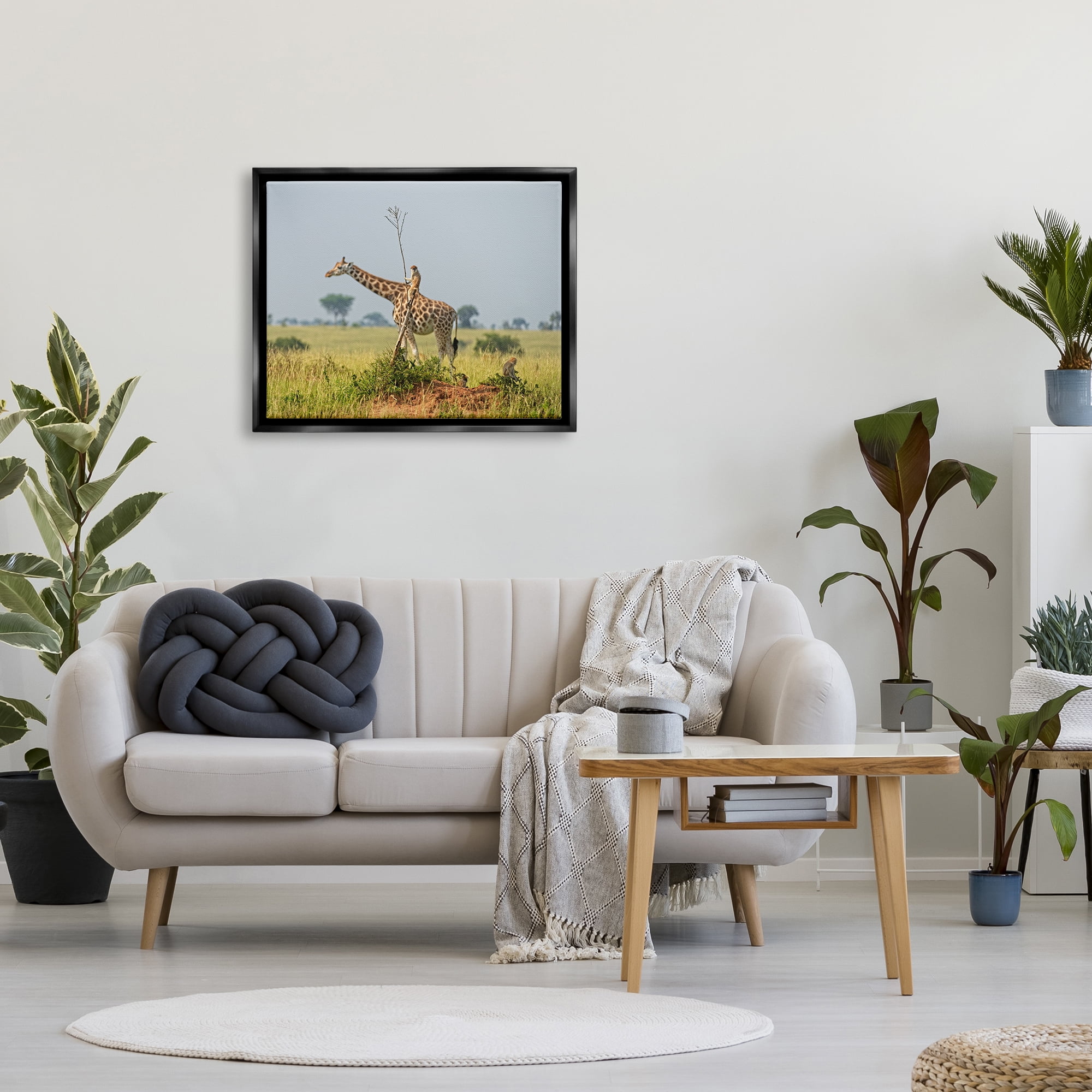 Stupell Industries Monkey Riding Giraffe Animals & Insects Photography Black Floater Framed Canvas Art Print Wall Art, 31 x 25