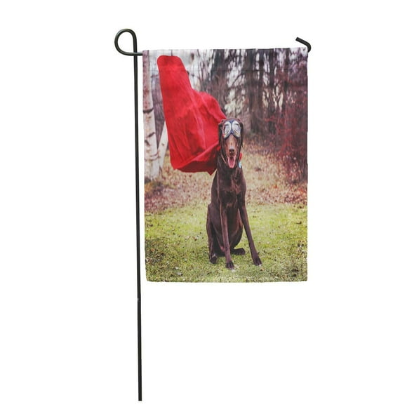 POGLIP Chocolate Labrador Retriever Posing for The Camera During Hot Summer Day Garden Flag Decorative Flag House Banner 28x40 inch