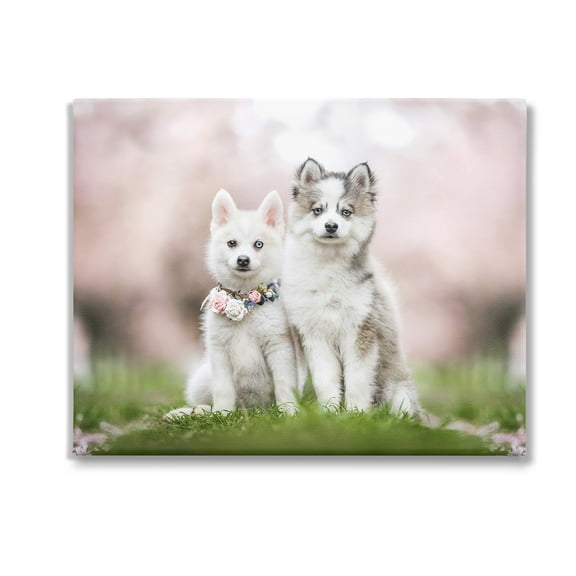 Stupell Industries Husky Puppies in Meadow Animals & Insects Painting Gallery Wrapped Canvas Art Print Wall Art, 20 x 16