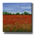 thumbnail image 1 of Epic Graffiti 'Field of Poppies I' by Tim O'Toole, Canvas Wall Art, 26"x26", 1 of 2