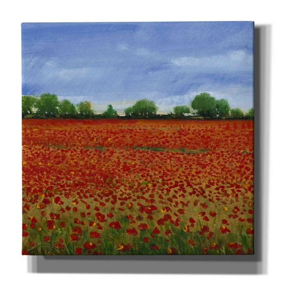 Epic Graffiti 'Field of Poppies I' by Tim O'Toole, Canvas Wall Art, 26"x26"