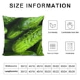 thumbnail image 5 of ONETECH Funny Realistic Food Green Pickles Cucumbers Decorative Throw Pillow Covers Soft Throw Pillowcases Home Decor Living Room Cushion Case for Bed Couch Car Creative Gift, 5 of 5