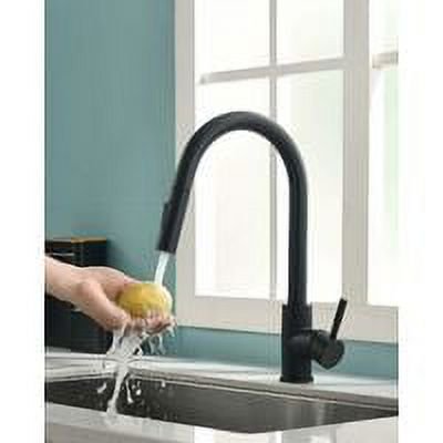 Pull-Out Spray & 360° Rotation for Ultimate Convenience Modern Black Kitchen Faucet