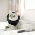 thumbnail image 3 of 4xDog Snood para Reducir el Ruido Aseo Baño Secado Calentador de Orejas Negro S, 3 of 8