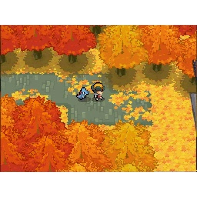 Pokemon soulsilver sale