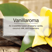Little Trees Vanillaroma Spray Car Air Fresheners Non-Aerosol 3.5oz - 12 Pack