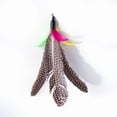 thumbnail image 3 of 11pcs Cat Teaser Stick Caterpillar Feather Replacement Head Pet Set Retractable Fishing Rod Cat Toys, 3 of 8