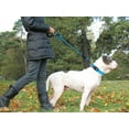 thumbnail image 4 of Rope Dog Leash 5 ft with Comfortable Padded Handle,Highly Reflective Threads Strong Dog Leash for Puppies Small Medium and Large Dogs, 4 of 6