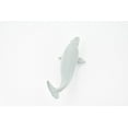 thumbnail image 5 of Whale, Beluga Baby, White Whale, Calf, Museum Quality, Rubber, Hand Painted, Realistic Toy Figure, Model, Replica, Kids, Educational, Gift, 5" CH331 BB133, 5 of 8