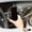 Brown, variant on Binmer Mobile Phone Support Car Conditioning Vent Special Bracket Car Magnet Mobile Phone Navigation Support