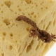 thumbnail image 3 of Esponja para fregar, limpieza, para coche, , automotriz, cuenco, olla, cocina, 3 of 6