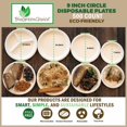 thumbnail image 5 of BioGreenChoice Eco-Friendly White 9 in. PFAS-FREE Fiber/Bagasse Disposable Plates (500 Count), Heavy Duty Paper Plates- Microwave safe (9 inch), 5 of 6