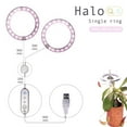 thumbnail image 1 of Kctiaxy A Lantern Ring Light Home Full Imitation Sun LED Indoor Flower Plant Light Kitchen Appliances, 1 of 2