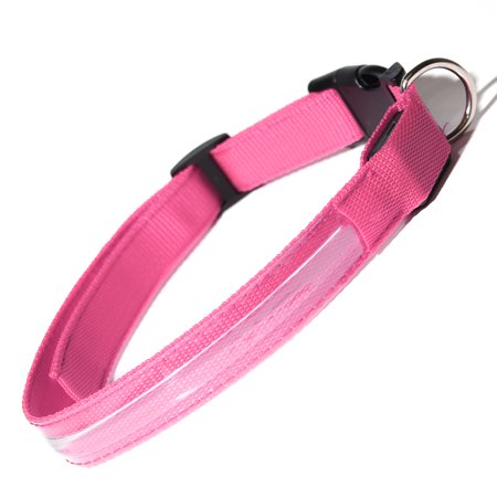 Paws & Pals Dog Collar LED Color Flashing Light Visible Night Walk - MM - Pink