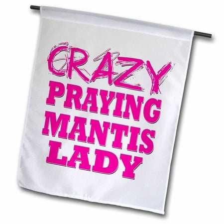 Crazy Praying Mantis Lady 12 x 18 inch Garden Flag fl-175240-1