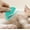 Green, variant on KCGYNP Plastic Mini Letter Opener and Pet Hair Matting Comb-Ergonomic Office Supply for Home and Travel-Durable,Compact Multi-Tool for Mail and Pet Grooming