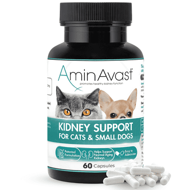 AminAvast Kidney Support for Cats & Small Dogs, 300mg, 60 Capsules