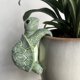 thumbnail image 4 of Figura de Tortuga Trepadora de Resina para Colgar En Macetas, Ideal Como Regalo para El Jardín., 4 of 6