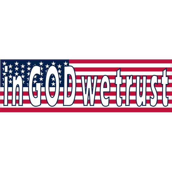 10in x 3in American Flag in God We Trust Magnet