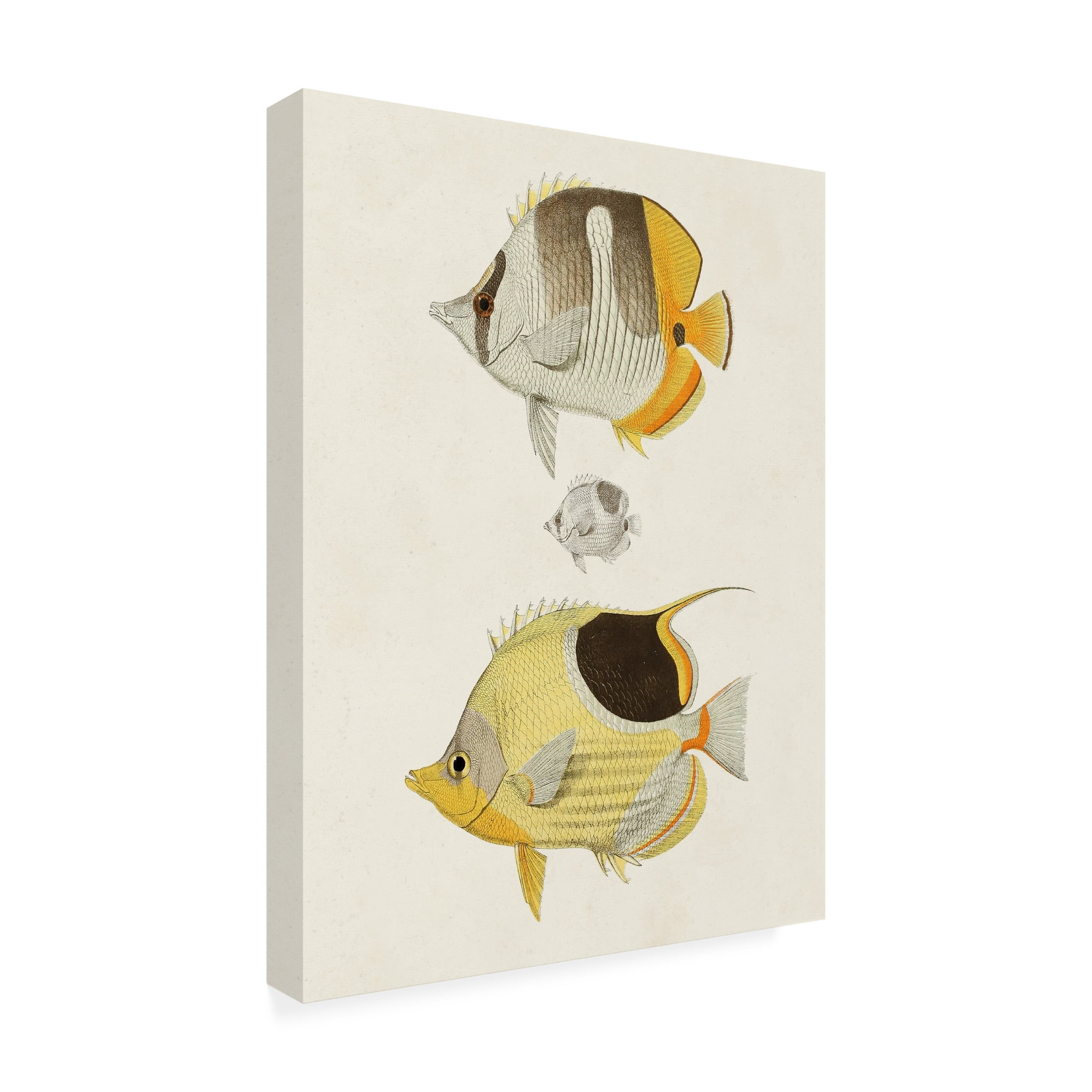 Unknown 'Yellow and Grey Fish II' Canvas Art