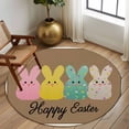thumbnail image 2 of Round Rug 6Ft Washable Non-Slip, Easter Circle Area Rugs for Living Room Bedroom, Colorful Bunny Spring Cartoon Cute Rabbits Brown Indoor Floor Mats Carpet Runner for Home Decor Aesthetic, 2 of 8