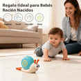 thumbnail image 2 of Juego De 5 Sonajeros Y Mordedores Para Bebé 0-12 Meses Xtellar multicolor, 2 of 3