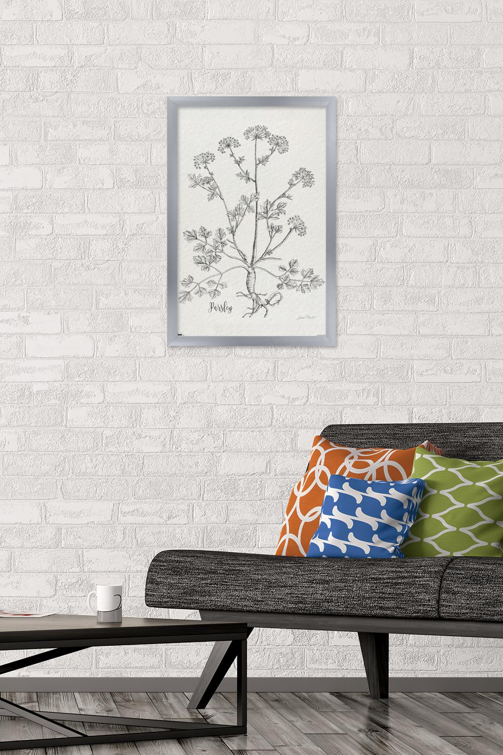 Jean Plout - Botanical Studies on Paper Parsley Wall Poster, 14.725" x 22.375" Framed