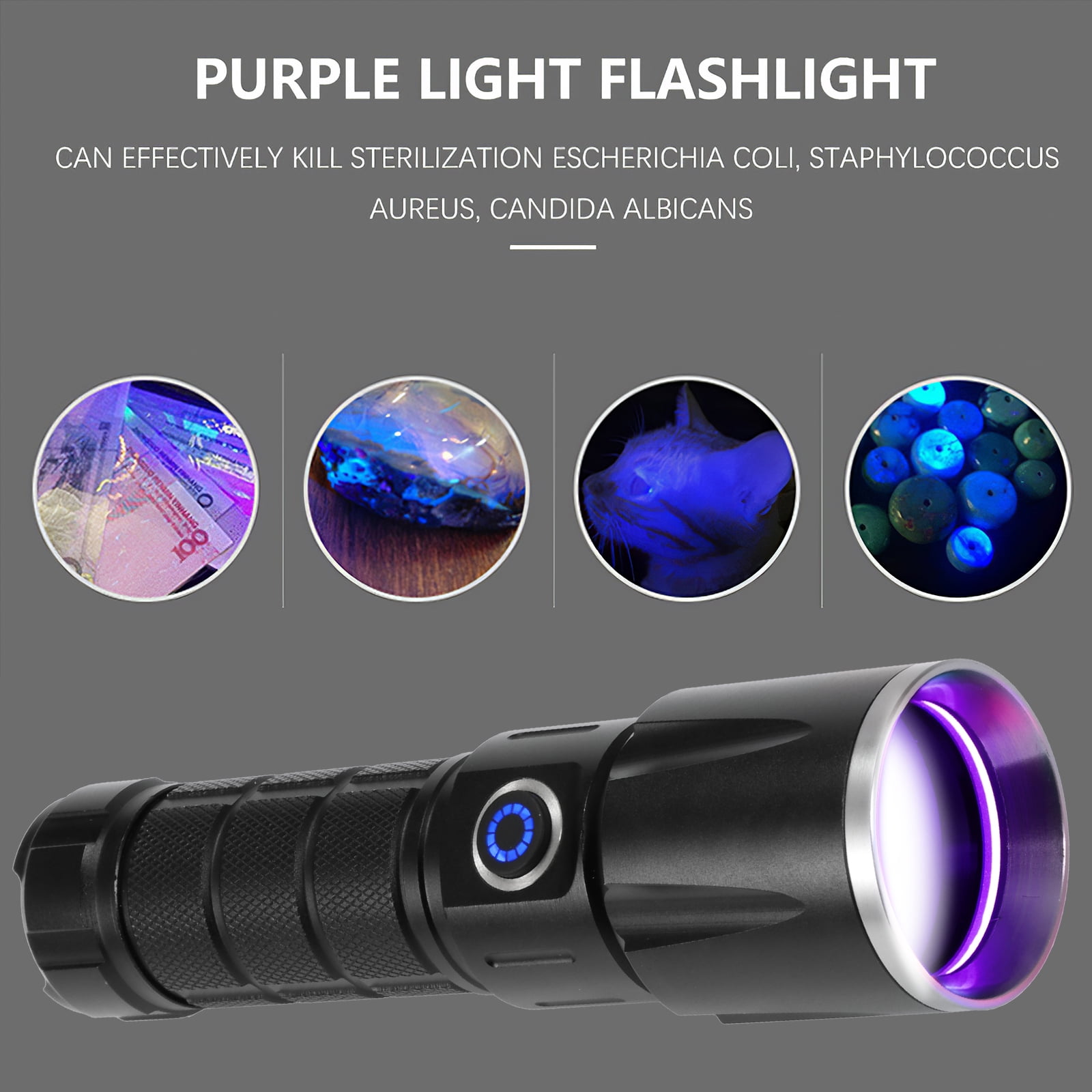 Mini Lampe Torche UV LED 365 Nm - Lampe Noire - Rechargeable USB