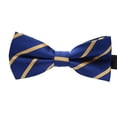thumbnail image 1 of fastboy Cravate Formelle à Motif Coloré pour Hommes Adulte Homme Affaires Réunion Mariage Fil Polyester Nœud Papillon, 1 of 8
