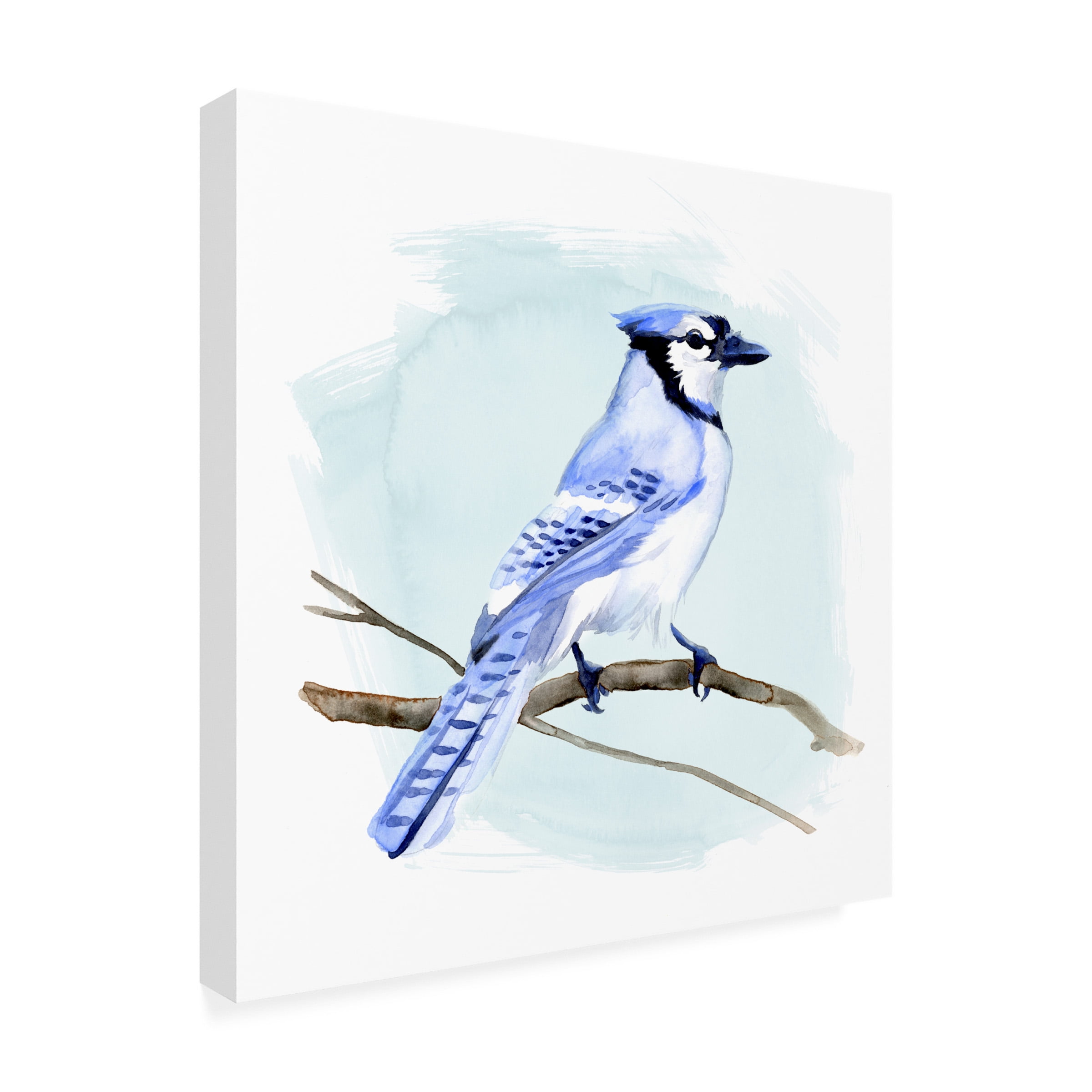 Jacob Green 'Coastal Blue Jay I' Canvas Art