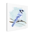thumbnail image 2 of Jacob Green 'Coastal Blue Jay I' Canvas Art, 2 of 3