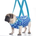 thumbnail image 6 of Small Pet Carrier Portable Shoulder Travel Tote Breathable Lightweight No‑Pull Vest Carrier for Small Dogs Cats Outdoor Walking Blue XS, 6 of 7