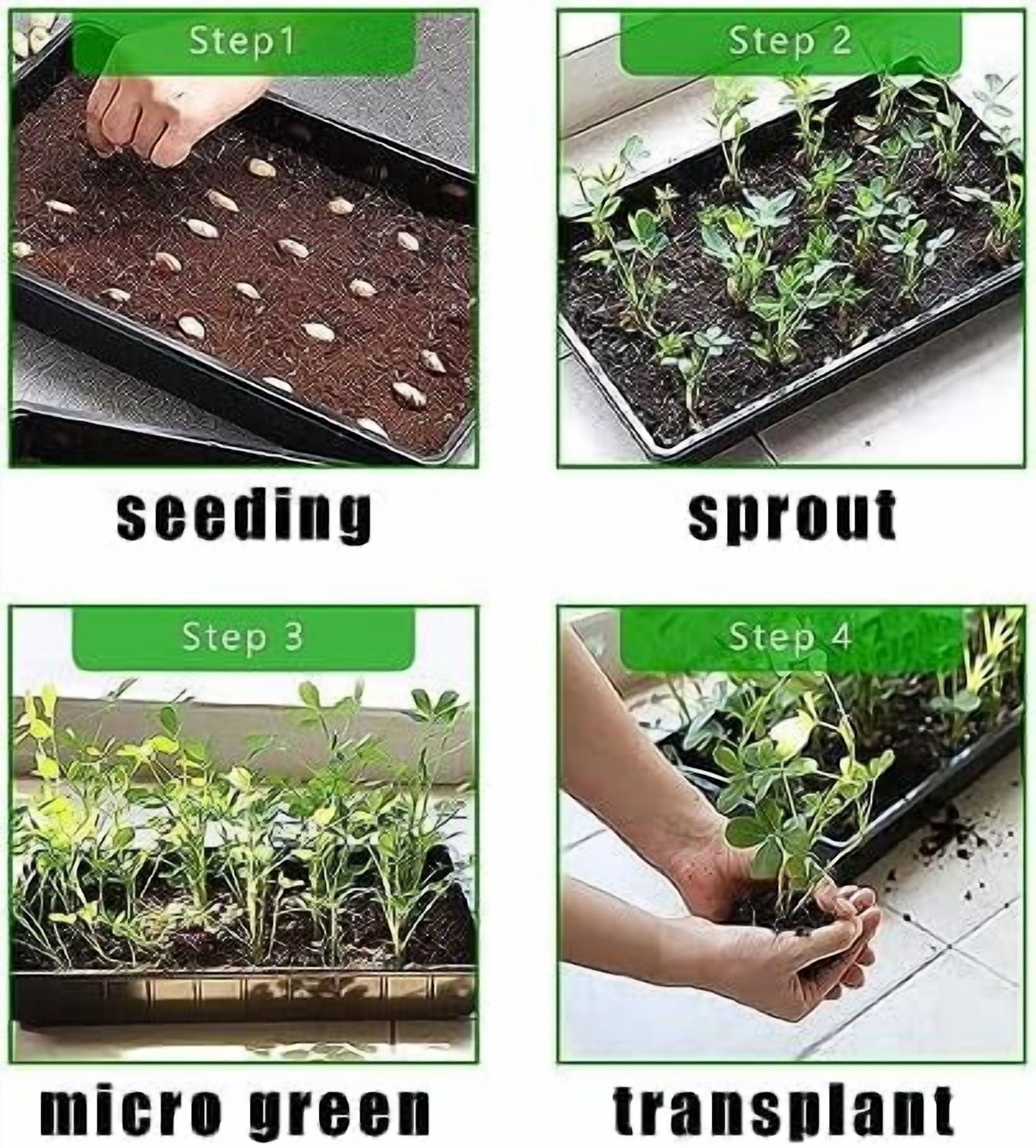 RibRave 10 Pack 1020 Trays, Extra Thick Heavy Duty Seed Starting Trays - No Holes, No Leak, Reusable Propagation Flats for Microgreens, Seedlings, Plant Germination, Fodder and Transplant