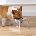 thumbnail image 3 of THE LICKER STORE Keaton 5" Small/Medium Modern Acrylic Rectangular Elevated Pet Feeder with 20oz 1-Stainless Steel Bowl, Clear/Chrome, DBL2002A, 3 of 7