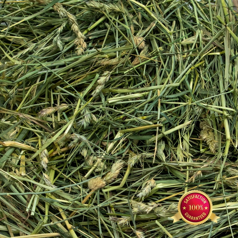 Rabbit Hole Hay Ultra Premium Coarse Orchard Grass 24oz bag