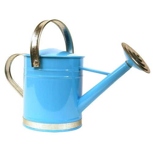 Arcadia Garden Products 0.5 Gallon Basic Watering Can by Arcadia Garden Products