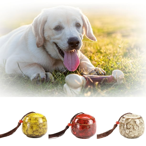 Dog ashes holder 2025