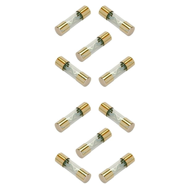 DNF 10 Pack 40 AMP AGU Gold Plated Fuses Round Glass Fuses