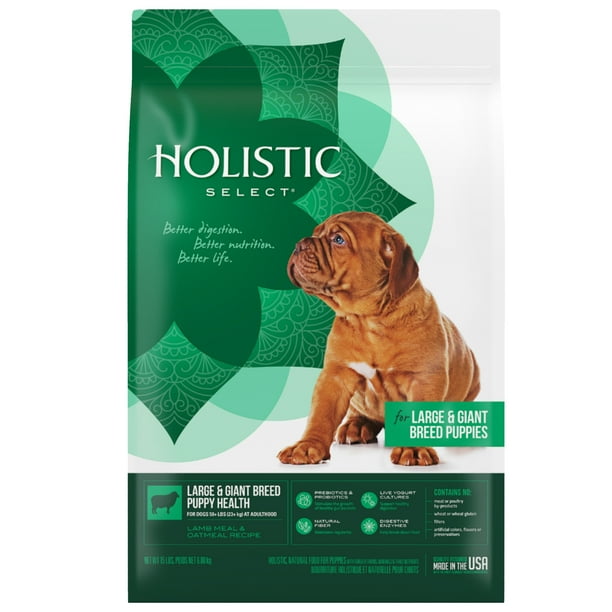 Holistic Select Natural Dry Dog Food, Large & Giant Breed Puppy Recipe